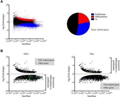 Multifactoriality of Parkinson’s Disease as Explored Through Human Neural Stem Cells and Their Transplantation in Middle-Aged Parkinsonian Mice